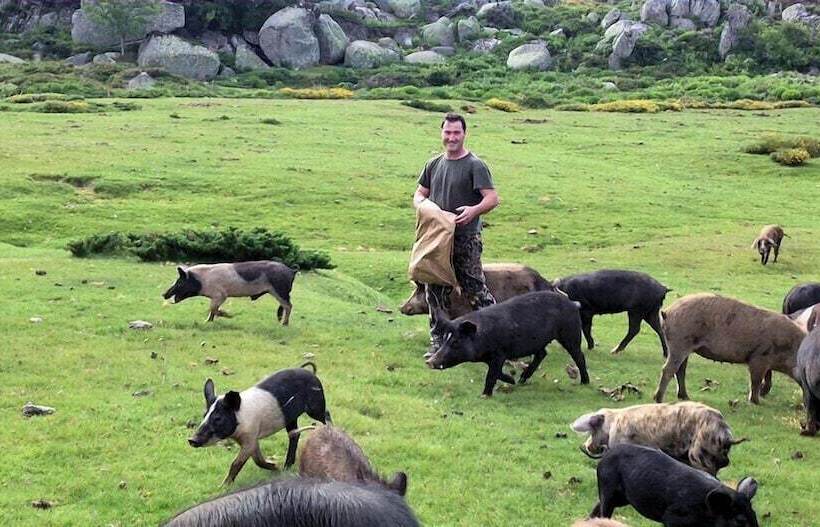 住宿加早餐  San Larenzu