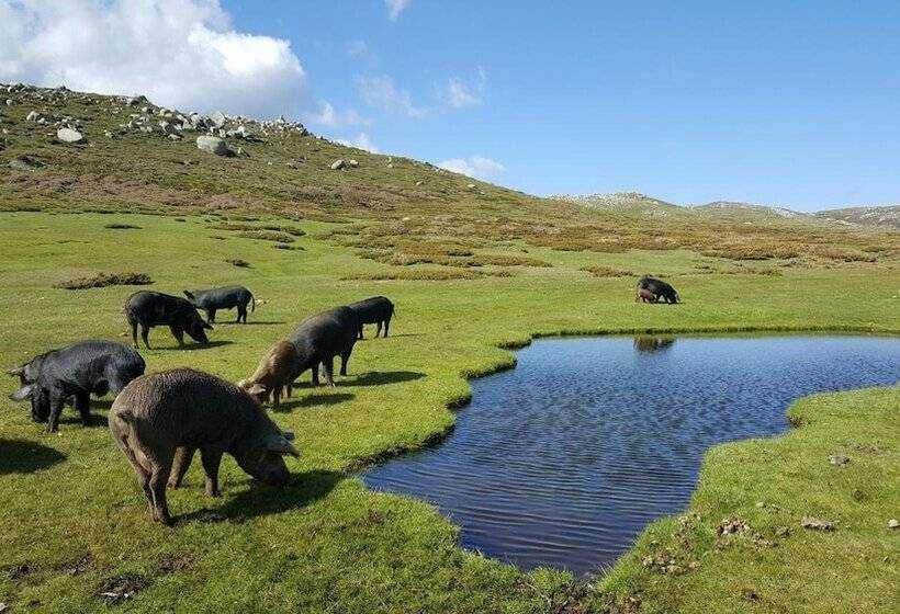 住宿加早餐  San Larenzu