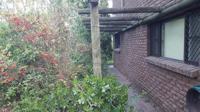 ユースホステル Gowrie Agapanthus