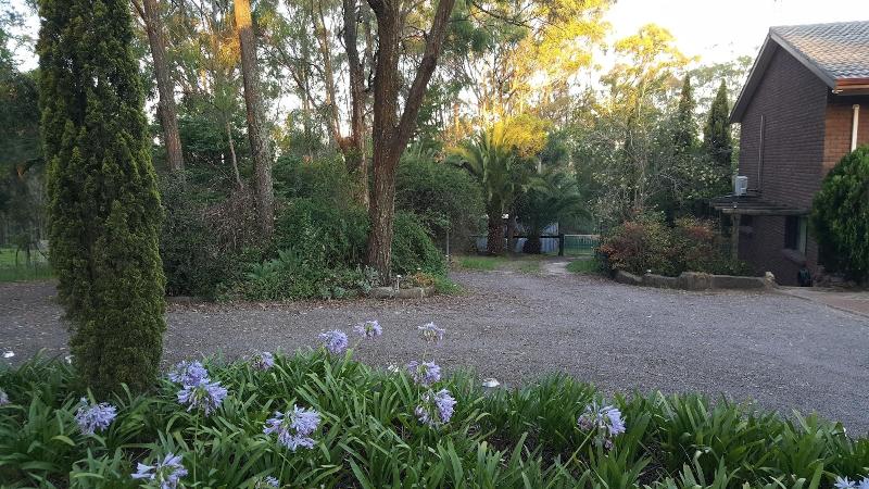 ユースホステル Gowrie Agapanthus