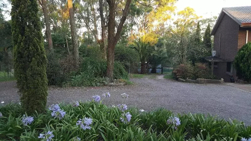 ユースホステル Gowrie Agapanthus