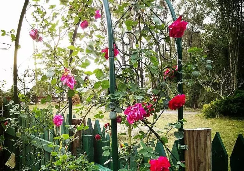 ユースホステル Gowrie Agapanthus