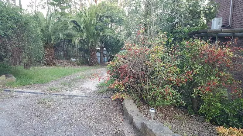 ユースホステル Gowrie Agapanthus