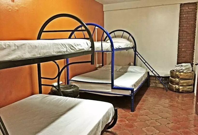 Hostel Trotamundos