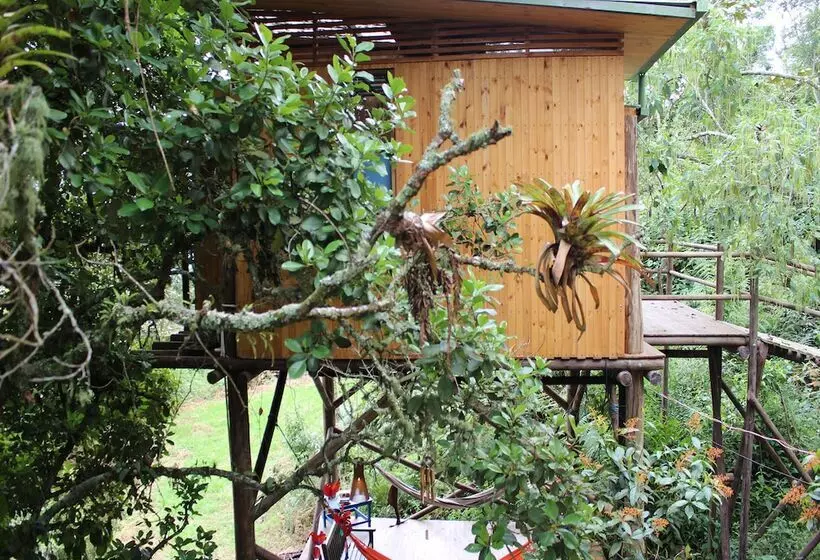 ホテル Entre Palos Eco Refugio