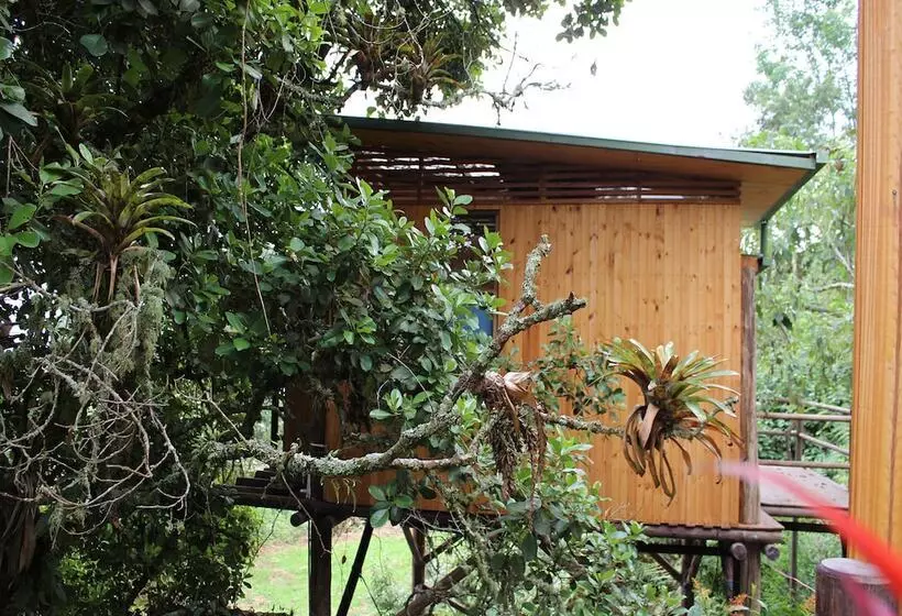 ホテル Entre Palos Eco Refugio