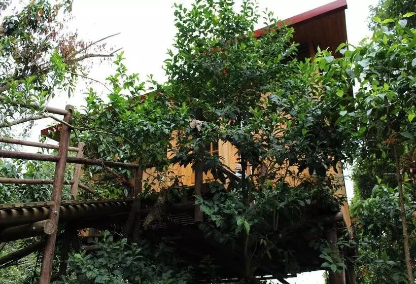 ホテル Entre Palos Eco Refugio