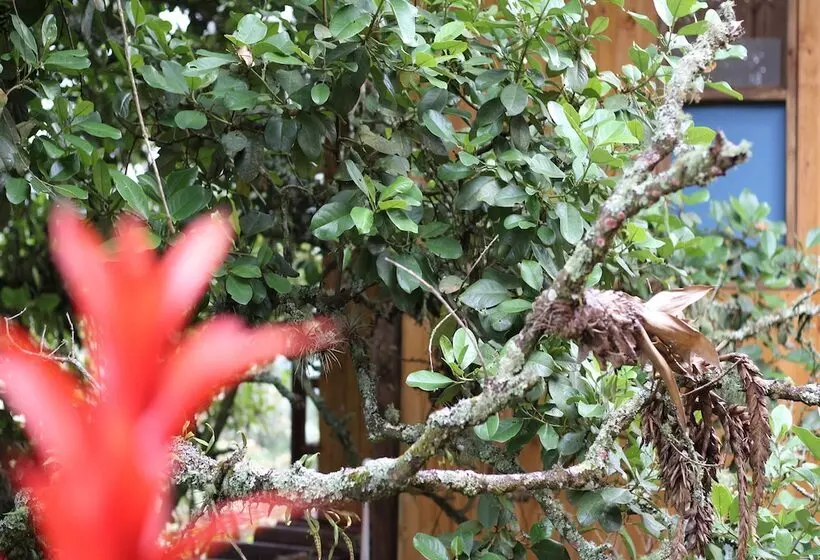 ホテル Entre Palos Eco Refugio