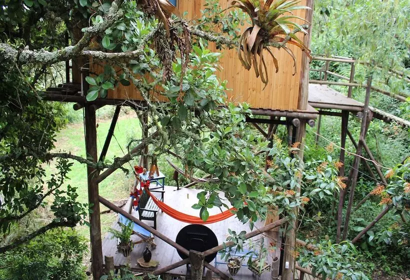 ホテル Entre Palos Eco Refugio