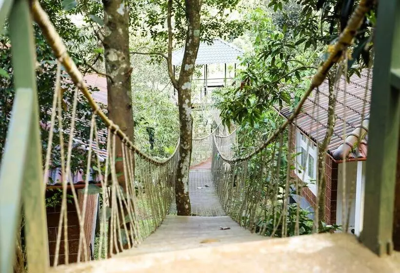 ホテル Wayanad Ranches Resorts
