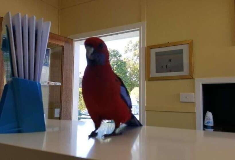 Lake Conjola Waterfront Holiday Park