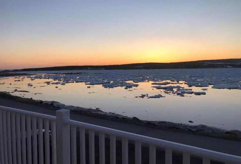 Motelli Raleigh Rooms & Taylor S Crafts