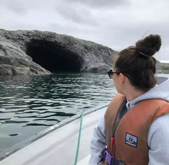 Motelli Raleigh Rooms & Taylor S Crafts