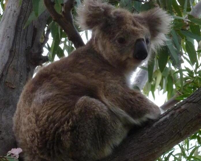 모텔 The Abbey Raymond Island