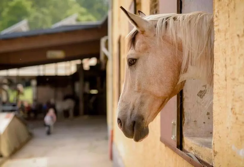 Nengshof   Haus Königskerze