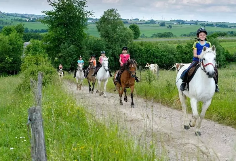 Nengshof   Haus Königskerze