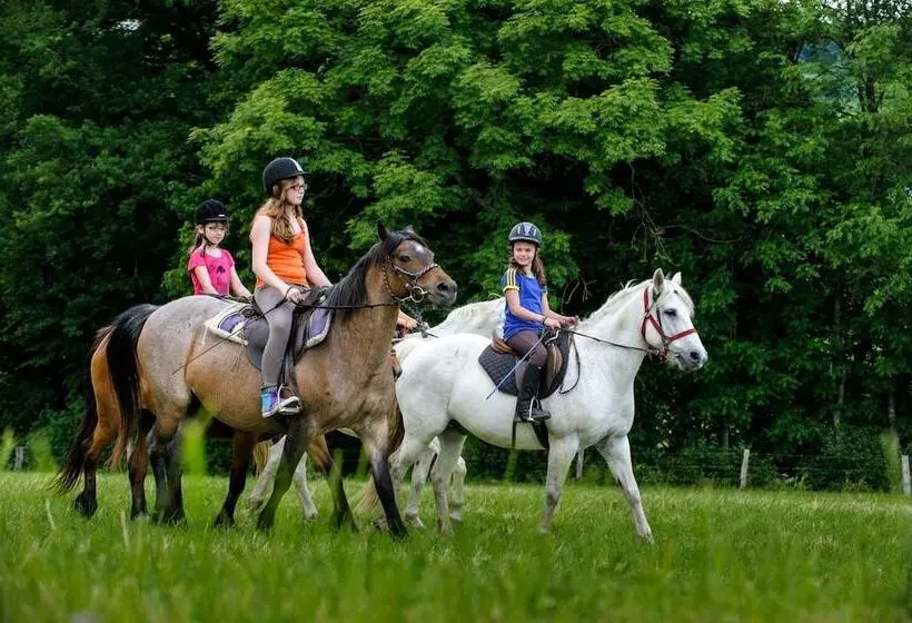 Nengshof   Haus Königskerze