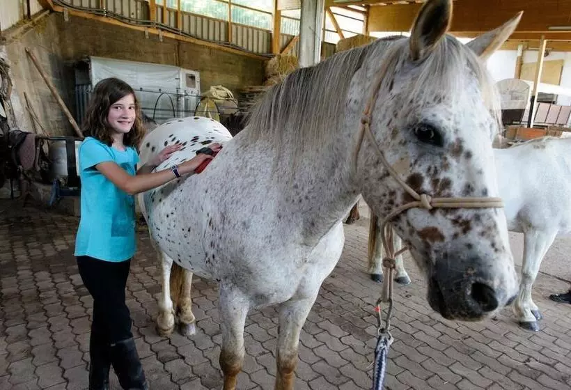 Nengshof   Haus Königskerze