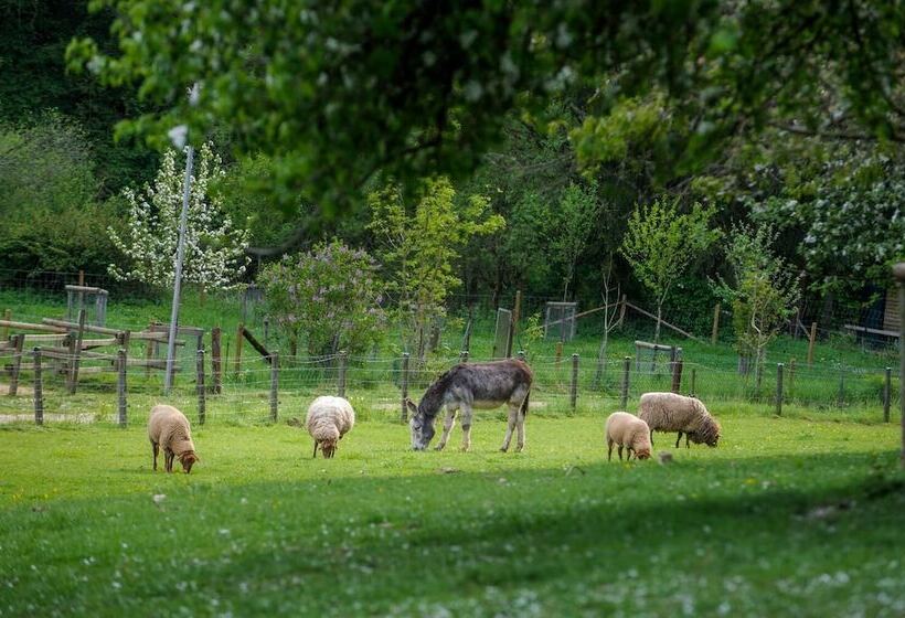 Nengshof   Haus Königskerze