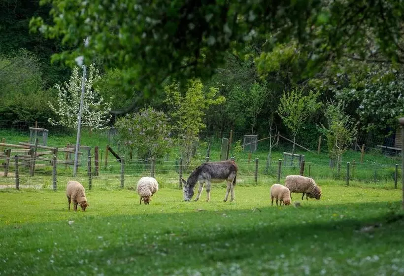 Nengshof   Haus Königskerze