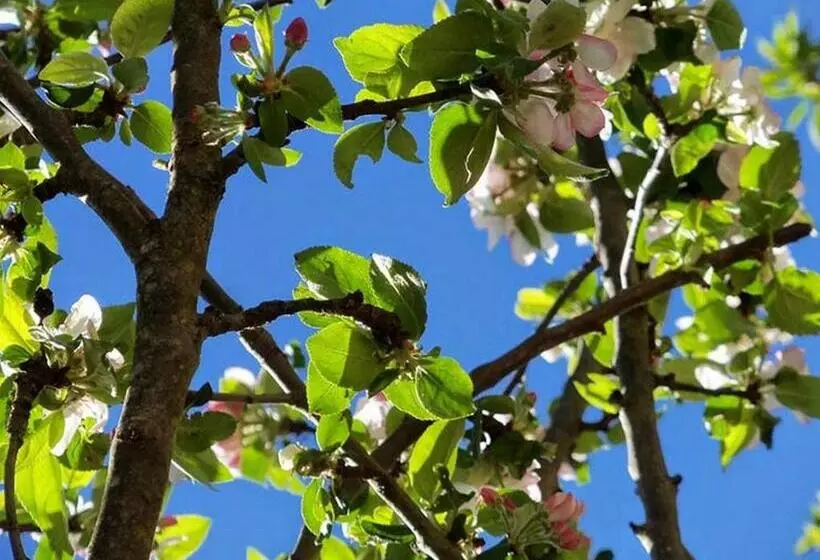 ペンション Chambres Et Jardin De Pierres