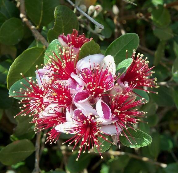 ペンション Chambres Et Jardin De Pierres