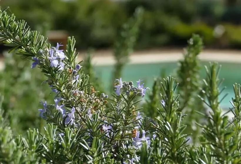 Majatalo La Carreterie  Maison De Famille{s}