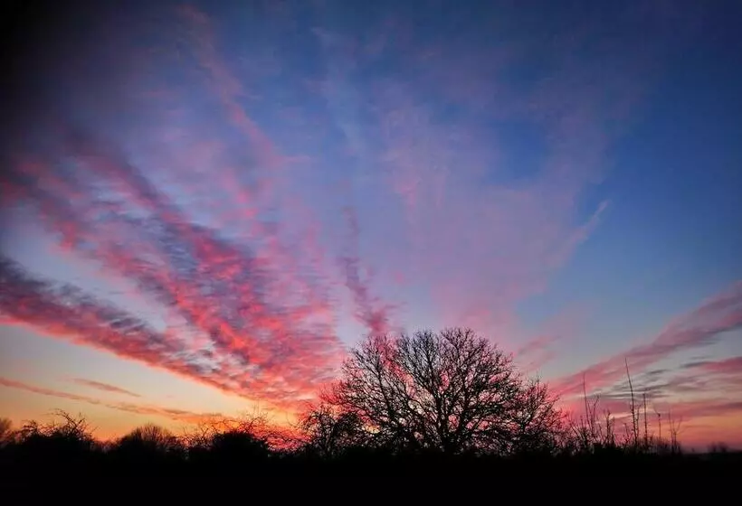 Majatalo La Mare Aux 3 Diables Chambre D Hôtes