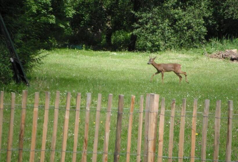 ペンション Le Brame Chambres D Hôtes