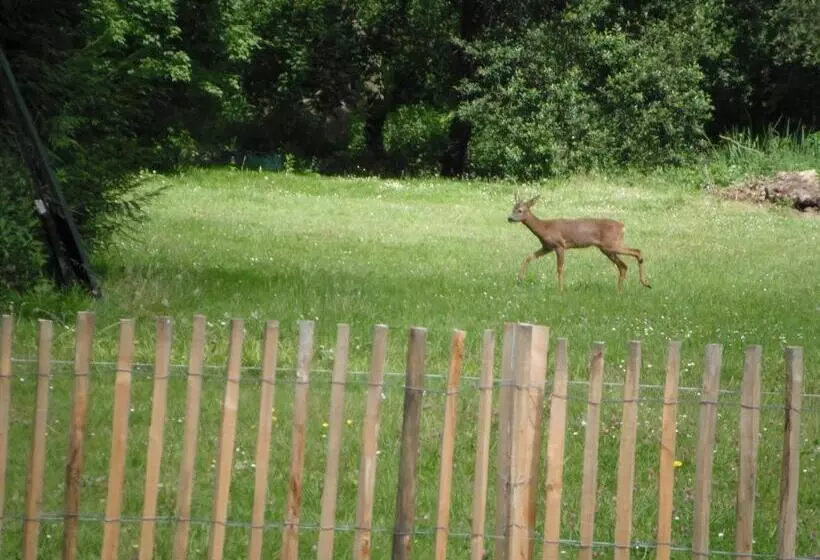 ペンション Le Brame   Chambres D Hôtes