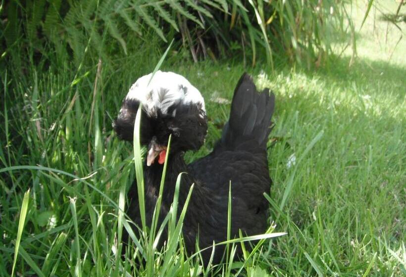 ペンション Le Brame Chambres D Hôtes