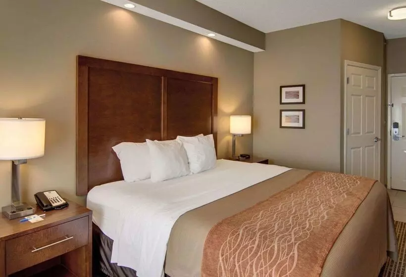 هتل Comfort Inn West Monroe Near Sports & Events Center