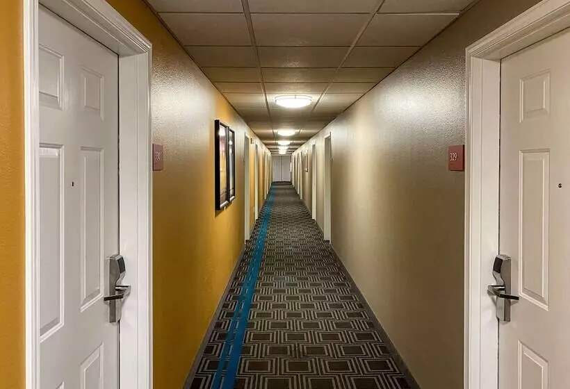 ホテル Mainstay Suites Middleburg Heights Cleveland Airport