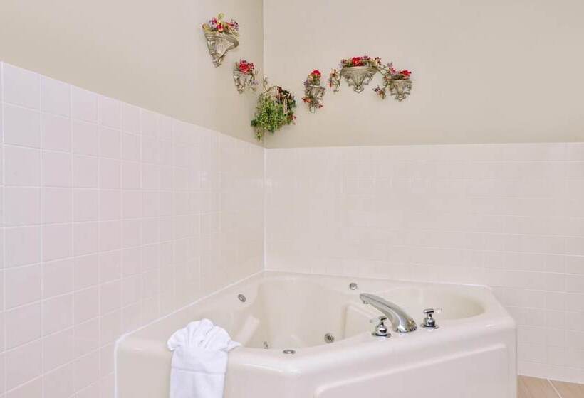 בית מלון כפרי Regency Inn Geneseo Il I80