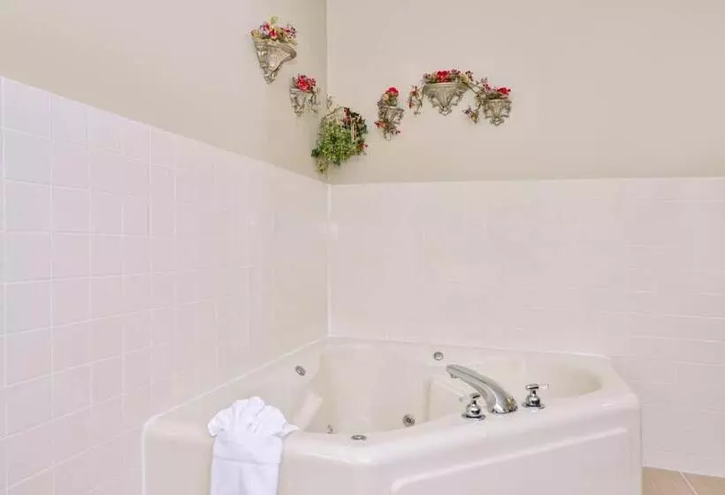 酒店 Regency Inn Geneseo Il I80