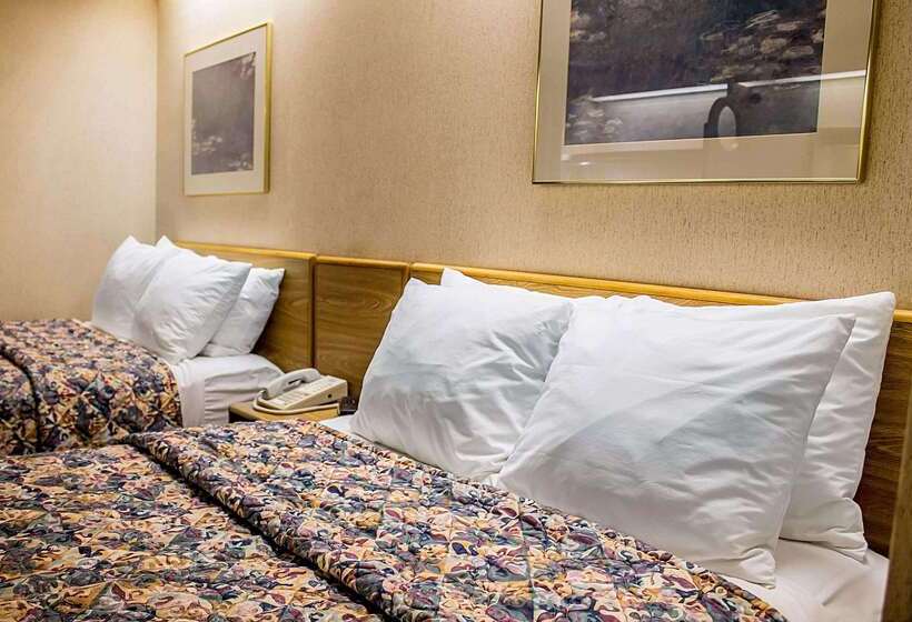 Отель Rodeway Inn