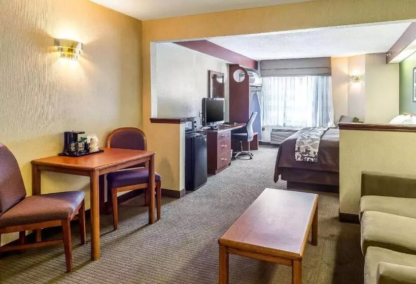 Отель Sleep Inn & Suites Bay View Acme   Traverse City