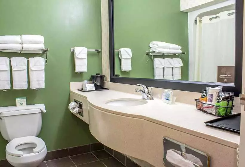 酒店 Sleep Inn & Suites