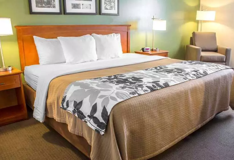 酒店 Sleep Inn & Suites