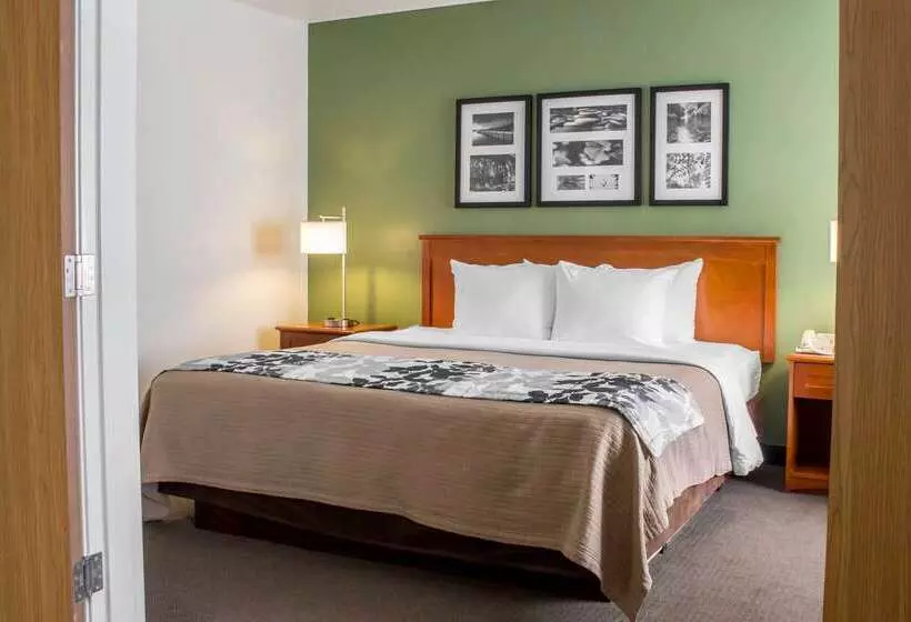酒店 Sleep Inn & Suites