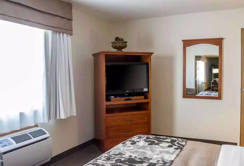 酒店 Sleep Inn & Suites