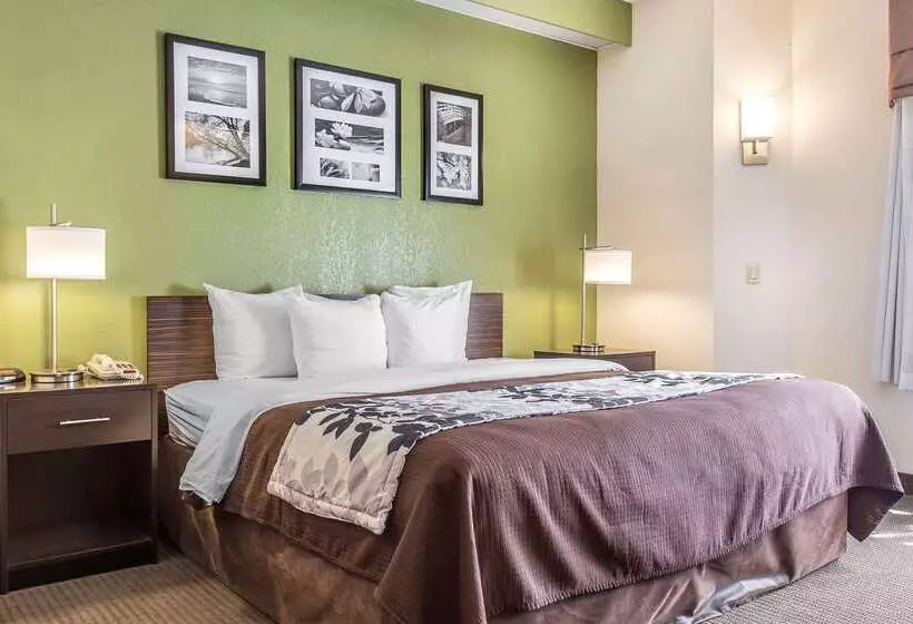 호텔 Sleep Inn & Suites