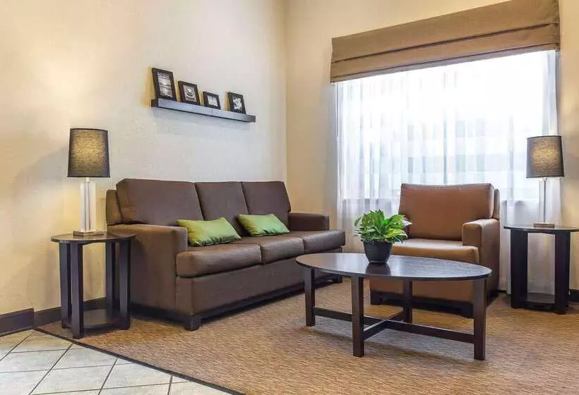 호텔 Sleep Inn & Suites