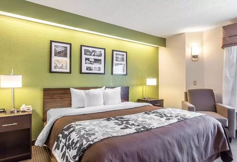 호텔 Sleep Inn & Suites