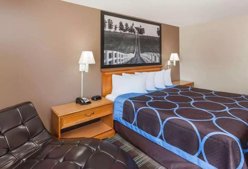 ホテル Rodeway Inn