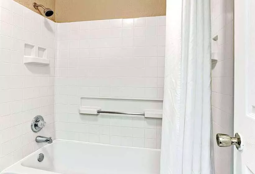 ホテル Super 8 By Wyndham Jackson/ridgeland