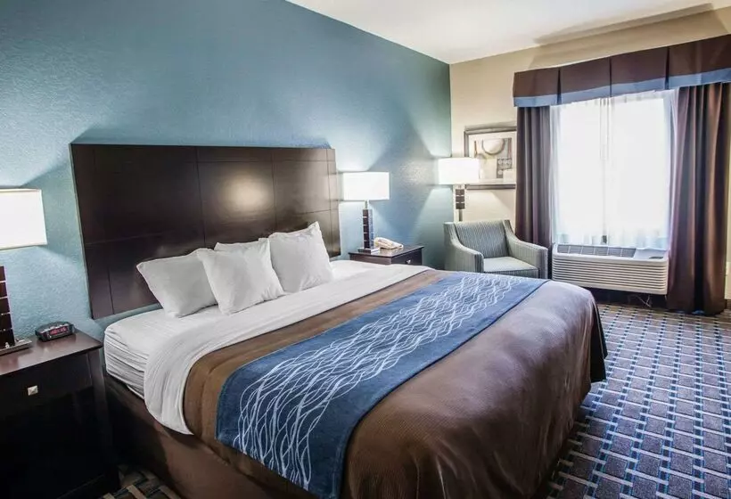 فندق على الطريق Comfort Inn Lees Summit   Hwy 50 & Hwy 291