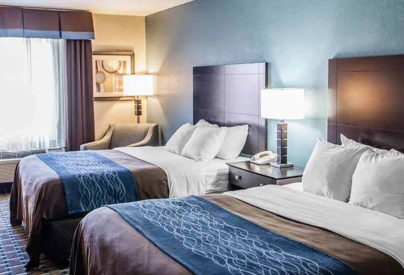 فندق على الطريق Comfort Inn Lees Summit   Hwy 50 & Hwy 291