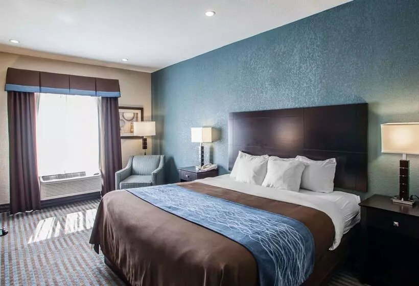 فندق على الطريق Comfort Inn Lees Summit   Hwy 50 & Hwy 291