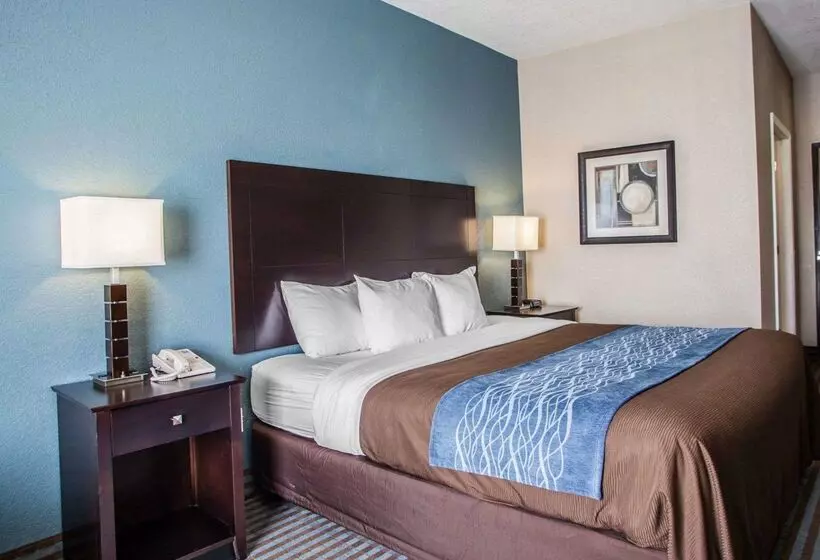 فندق على الطريق Comfort Inn Lees Summit   Hwy 50 & Hwy 291